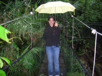 Balade dans la jungle