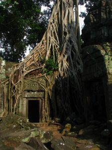 Temple de Angkor