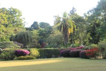 Jardin de Marika