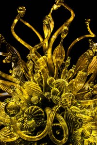 Citron Balboni Chandelier